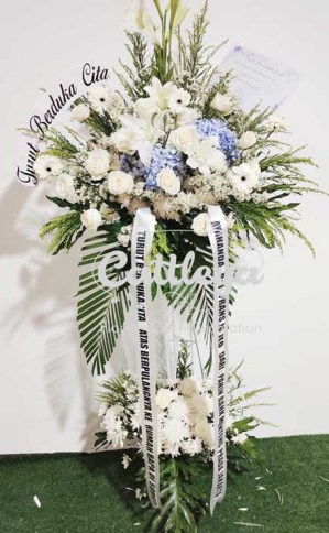 bunga dukacita standing