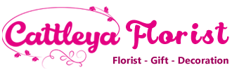 Cattleya Florist